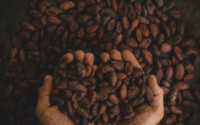 Health Benefits: Cacao